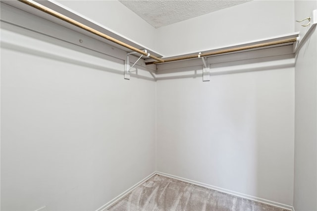 69 Tree Brook Dr, Penfield, NY 14625 - spacious closet featuring light colored carpet