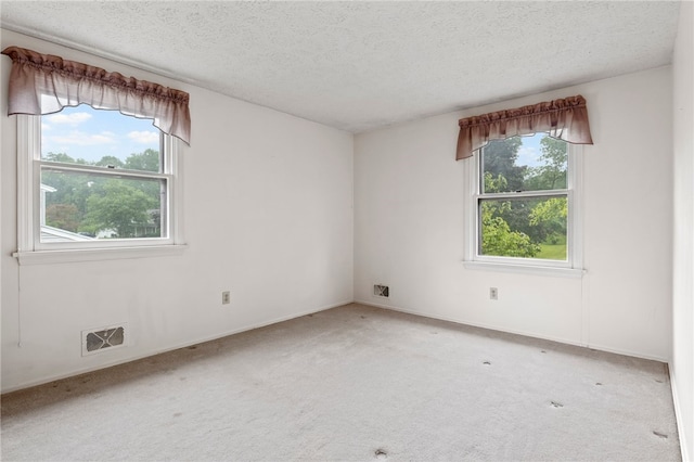 69 Tree Brook Dr, Penfield, NY 14625 - unfurnished room with a textured ceiling, plenty of natural light, carpet, and baseboards