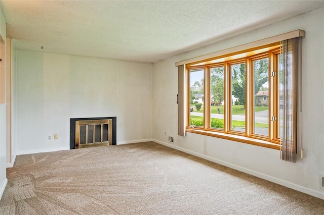 176 Wildbriar Rd, Henrietta, NY 14623 - unfurnished living room featuring carpet flooring, a textured ceiling, and baseboards