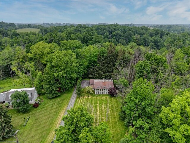 522 Canfield Rd, Pittsford, NY 14534 - photo 47