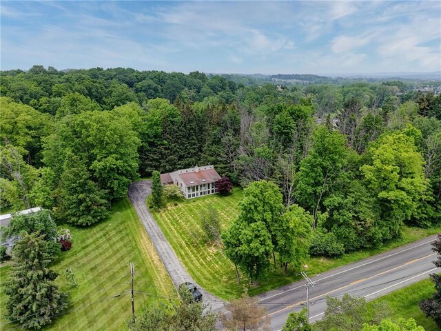 522 Canfield Rd, Pittsford, NY 14534 - photo 49