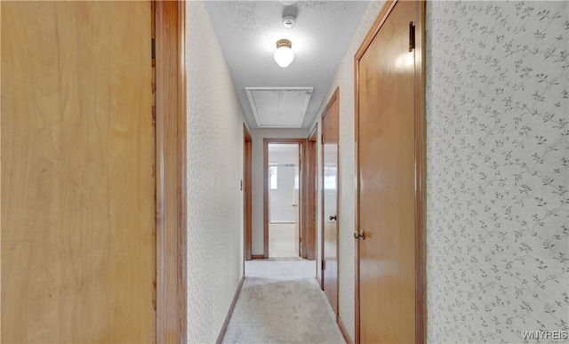63 Princeton Ct, Cheektowaga, NY 14225 - hallway featuring wallpapered walls, a textured ceiling, and carpet floors