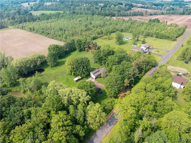 1010 Simmons Rd, Sterling, NY 13156 - aerial view