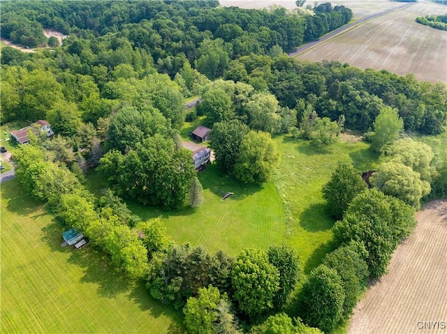 1010 Simmons Rd, Sterling, NY 13156 - view of rural area