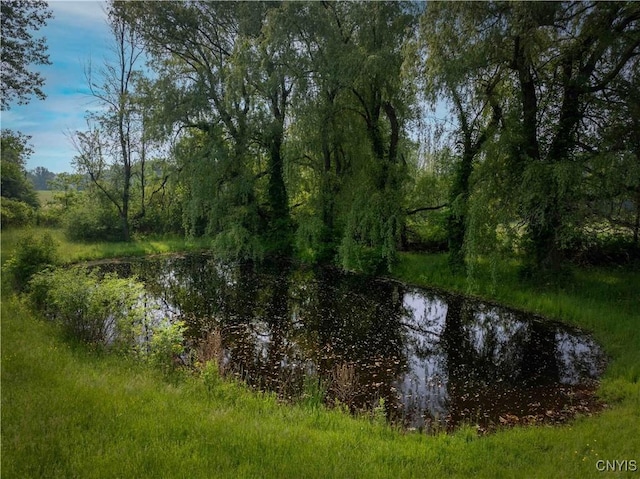 1010 Simmons Rd, Sterling, NY 13156 - water view