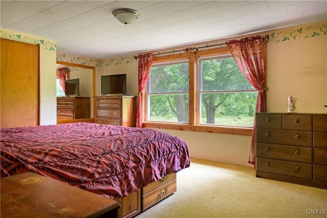 1010 Simmons Rd, Sterling, NY 13156 - bedroom featuring carpet floors