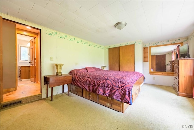 1010 Simmons Rd, Sterling, NY 13156 - view of carpeted bedroom