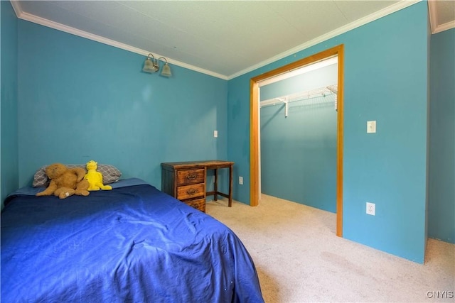 1010 Simmons Rd, Sterling, NY 13156 - bedroom featuring ornamental molding, carpet flooring, and a closet