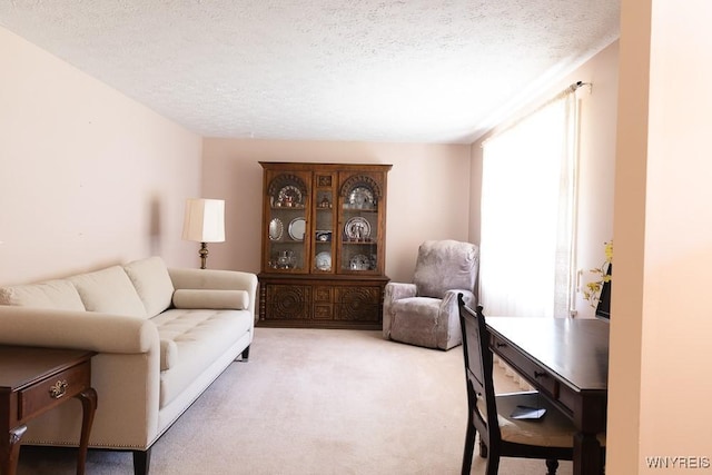 18 Tree Top Dr, Penfield, NY 14625 - living room with carpet flooring and a textured ceiling