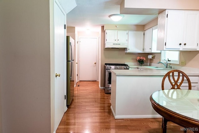 18 Tree Top Dr, Penfield, NY 14625 - kitchen featuring stainless steel appliances, a sink, a peninsula, under cabinet range hood, and light countertops