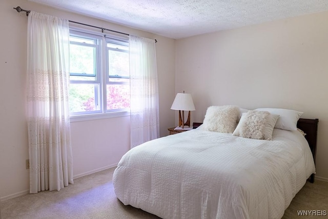 18 Tree Top Dr, Penfield, NY 14625 - bedroom featuring light carpet, baseboards, and a textured ceiling