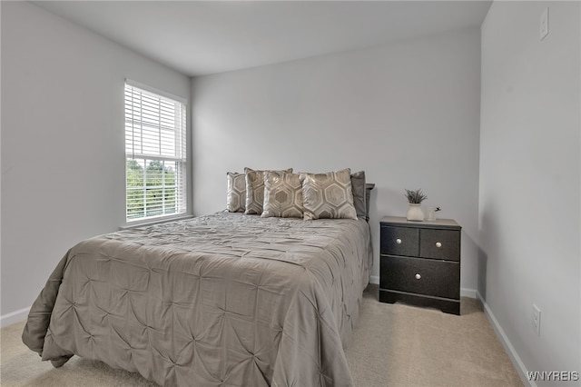 392 Quarry Run, Grand Island, NY 14072 - carpeted bedroom featuring baseboards