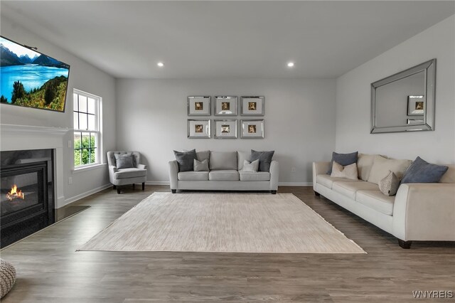 392 Quarry Run, Grand Island, NY 14072 - living area featuring wood finished floors, recessed lighting, a glass covered fireplace, and baseboards