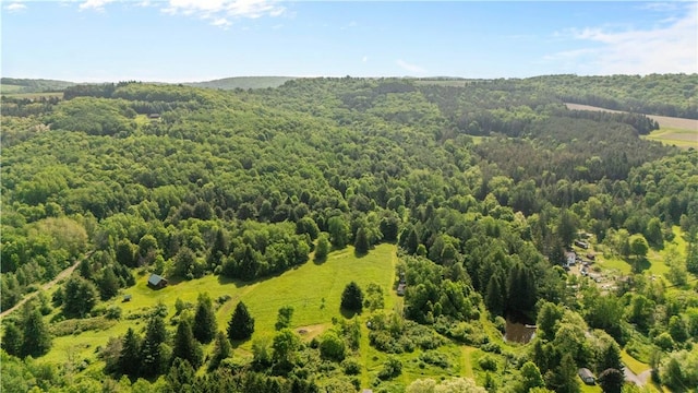 8471 Alpaugh Rd, Springwater, NY 14572 - bird's eye view of a heavily wooded area