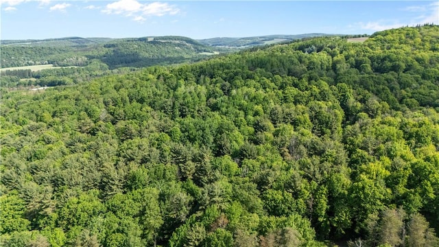 8471 Alpaugh Rd, Springwater, NY 14572 - mountain view with a forest