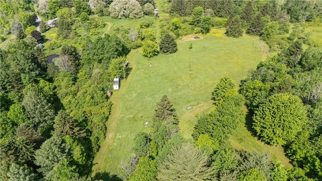 8471 Alpaugh Rd, Springwater, NY 14572 - aerial view