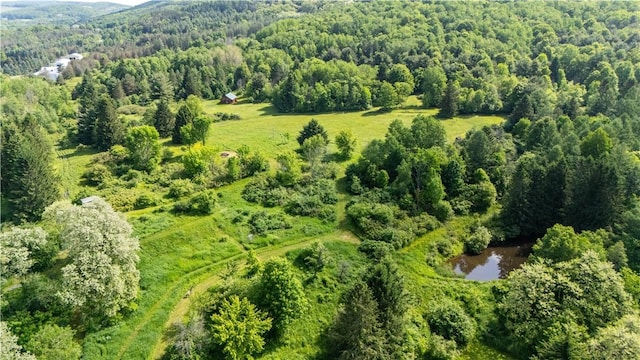 8471 Alpaugh Rd, Springwater, NY 14572 - bird's eye view of a heavily wooded area and a large body of water
