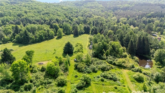 8471 Alpaugh Rd, Springwater, NY 14572 - bird's eye view of a heavily wooded area