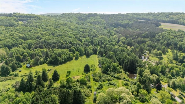 8471 Alpaugh Rd, Springwater, NY 14572 - bird's eye view of a forest