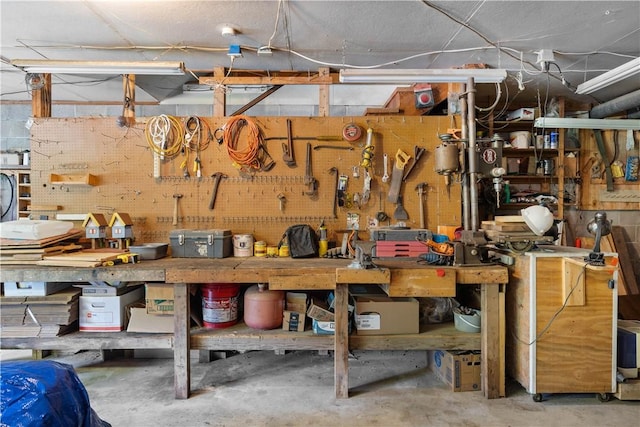 8471 Alpaugh Rd, Springwater, NY 14572 - view of storage room