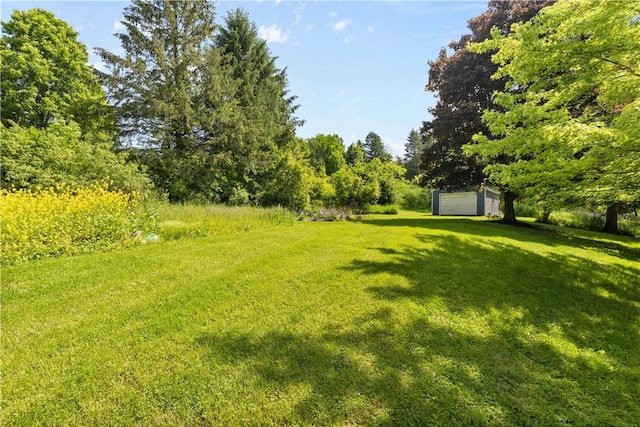 8471 Alpaugh Rd, Springwater, NY 14572 - view of grassy yard with a detached garage and an outbuilding