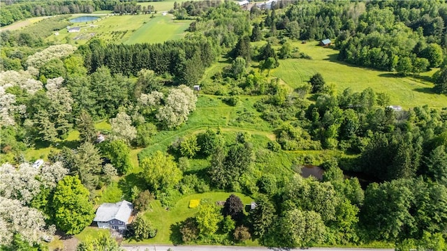 8471 Alpaugh Rd, Springwater, NY 14572 - aerial view of a nearby body of water