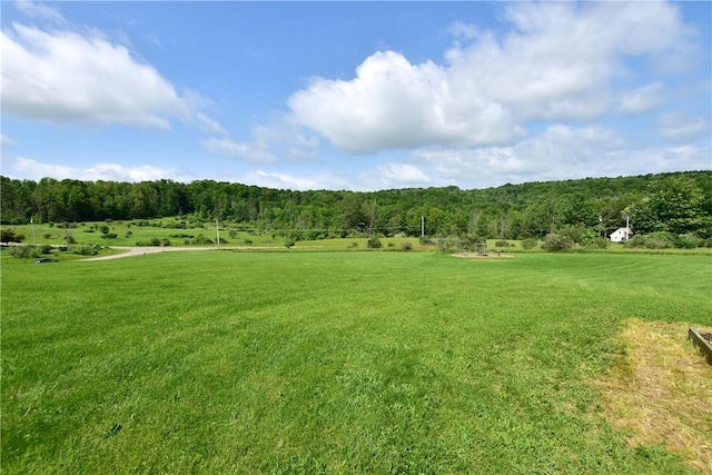 10843 Caton Crst, Caton, NY 14830 - photo 41