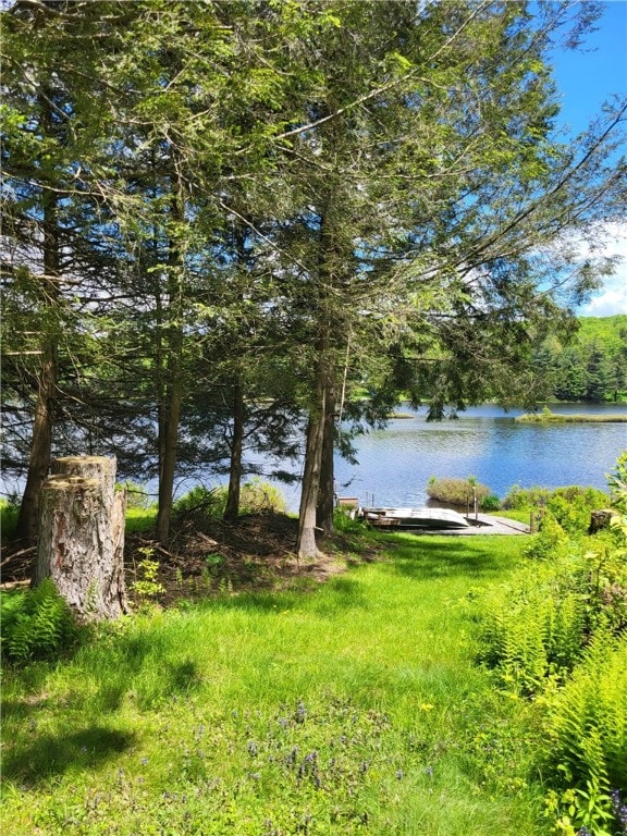 104 Mcclure Dr, Sanford, NY 13754 - water view