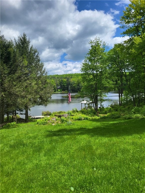 104 Mcclure Dr, Sanford, NY 13754 - water view