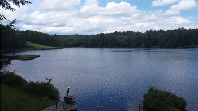 104 Mcclure Dr, Sanford, NY 13754 - water view featuring a heavily wooded area