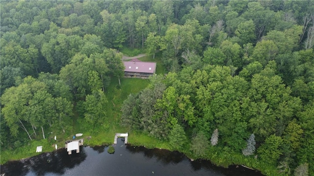 104 Mcclure Dr, Sanford, NY 13754 - aerial view of property and surrounding area featuring a large body of water and a forest
