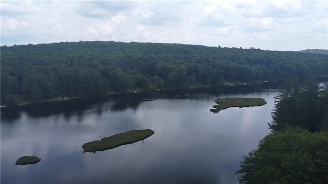 104 Mcclure Dr, Sanford, NY 13754 - water view featuring a forest