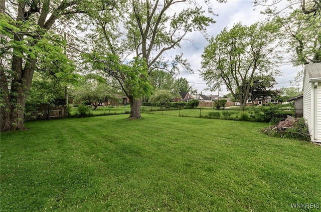 236 Commodore Ter, Cheektowaga, NY 14225 - view of yard