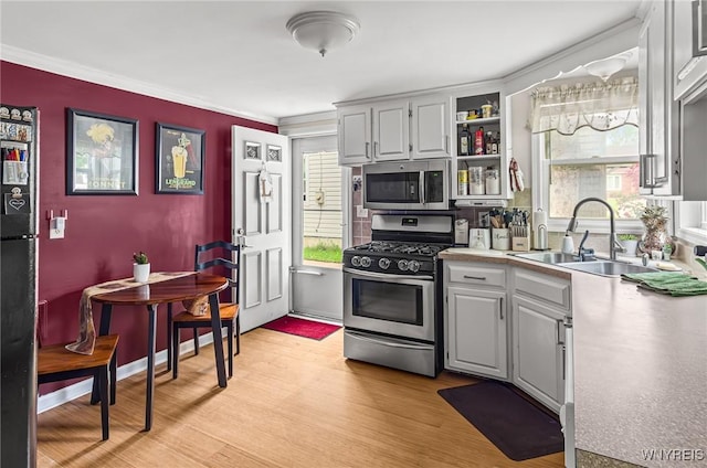 236 Commodore Ter, Cheektowaga, NY 14225 - kitchen with stainless steel appliances, a sink, crown molding, healthy amount of natural light, and light wood-type flooring