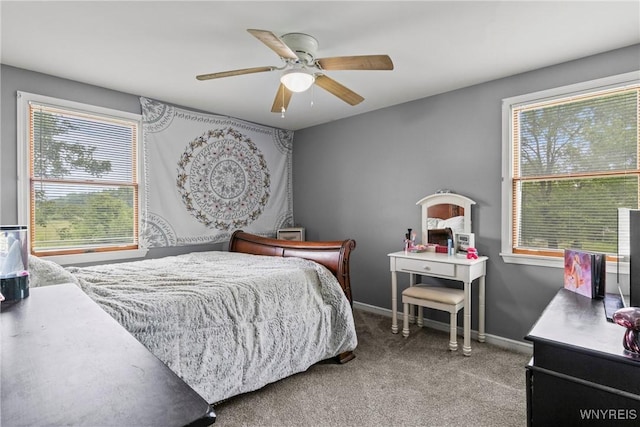 1621 Cain Rd, Brant, NY 14111 - carpeted bedroom featuring multiple windows, a ceiling fan, and baseboards