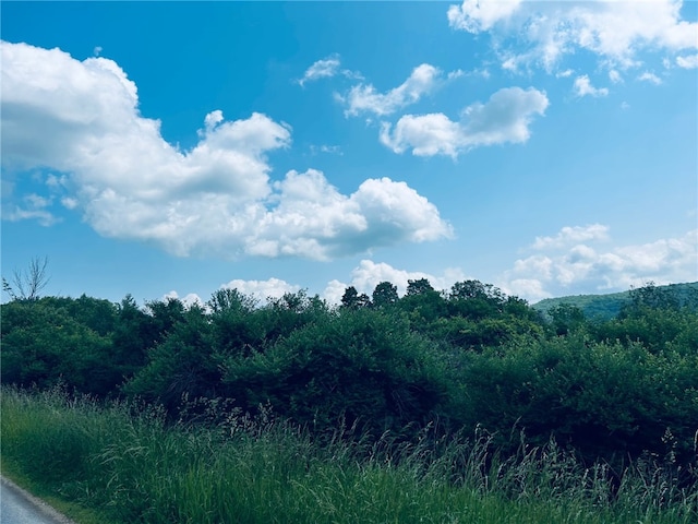 0 Clark Rd, Extension, Almond, NY 14803 - photo 1