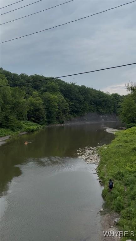 6817 Revere Dr, Evans, NY 14047 - water view featuring a heavily wooded area