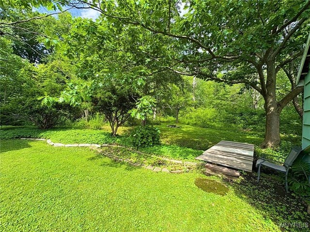 6817 Revere Dr, Evans, NY 14047 - view of grassy yard