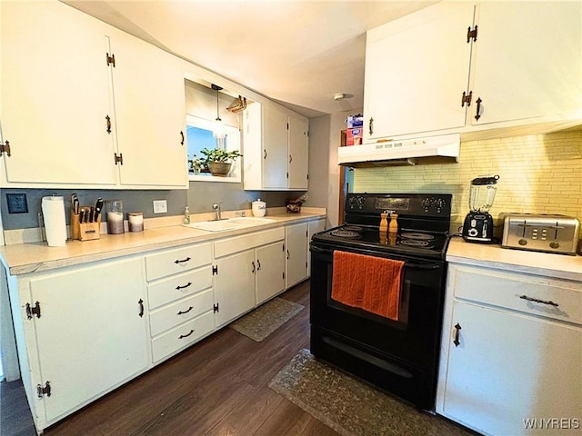 6817 Revere Dr, Evans, NY 14047 - kitchen featuring black / electric stove, under cabinet range hood, dark wood-style floors, light countertops, and backsplash