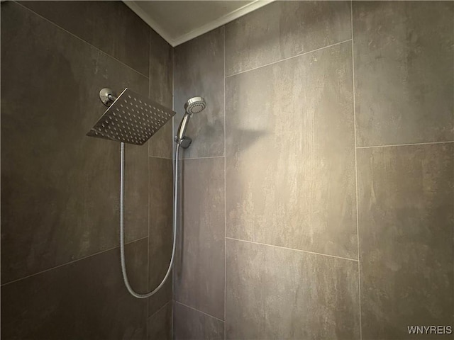 6817 Revere Dr, Evans, NY 14047 - bathroom view of a tile shower