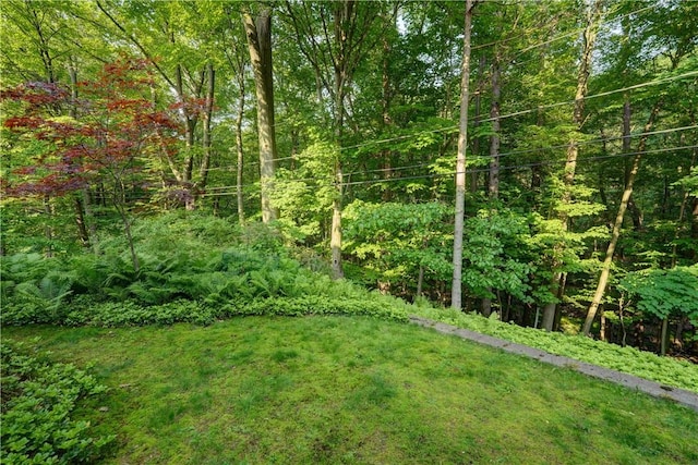 120 Scotch Ln, Irondequoit, NY 14617 - view of grassy yard featuring a view of trees