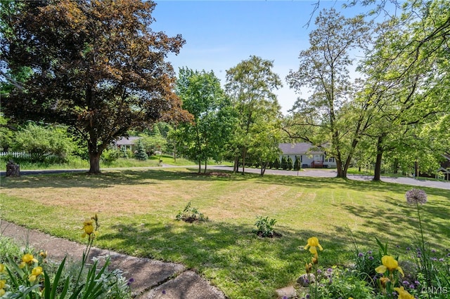 435 Elm St, Ithaca City, NY 14850 - view of green lawn