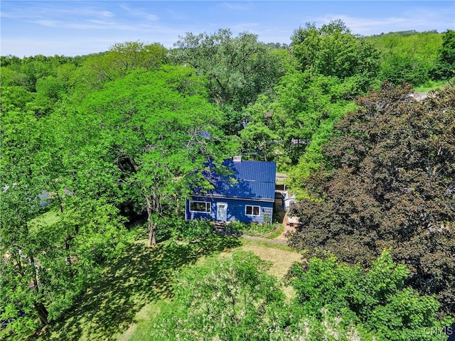 435 Elm St, Ithaca City, NY 14850 - aerial view of property and surrounding area with a forest
