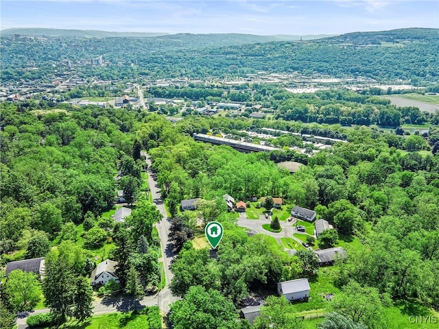 435 Elm St, Ithaca City, NY 14850 - aerial view of a forest