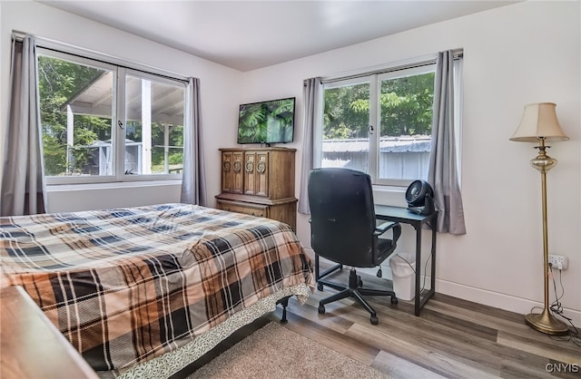 435 Elm St, Ithaca City, NY 14850 - bedroom with multiple windows, wood finished floors, and baseboards