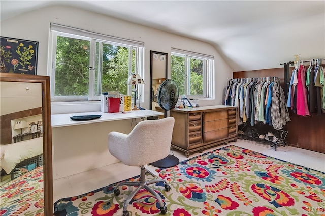 435 Elm St, Ithaca City, NY 14850 - office featuring vaulted ceiling