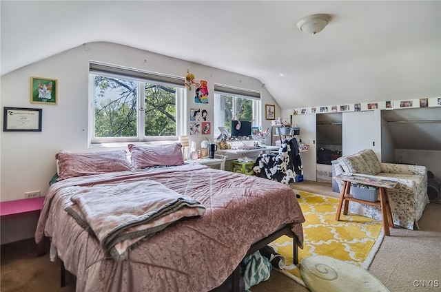 435 Elm St, Ithaca City, NY 14850 - bedroom featuring lofted ceiling and light colored carpet