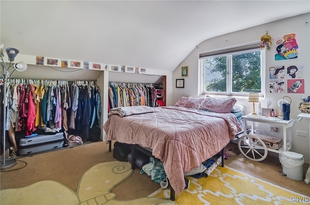 435 Elm St, Ithaca City, NY 14850 - carpeted bedroom with vaulted ceiling