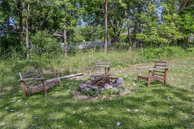 435 Elm St, Ithaca City, NY 14850 - view of yard