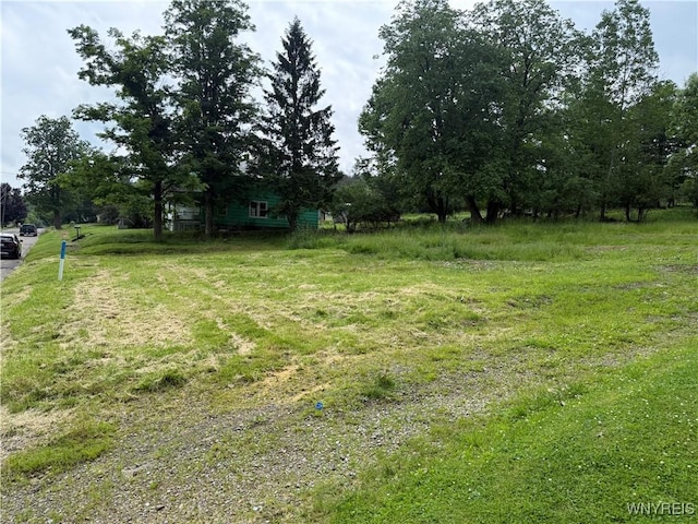 26 Clark St, Wellsville, NY 14895 - photo 7